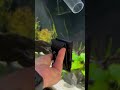 Cleaning Aquarium Glass With the Flipper Float