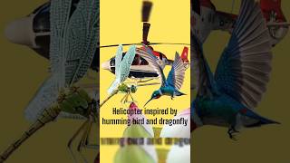 Helicopter inspired by Humming bird and dragonfly #video #helicopter #hummingbird #dragonfly #shorts