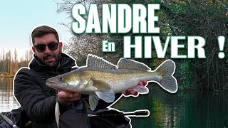 Comment PÊCHER le SANDRE en HIVER ! Nos CONSEILS \u0026 ASTUCES...