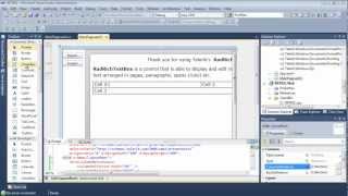 RichTextbox - Part 4: Searching and Replacing Text (Silverlight & WPF)