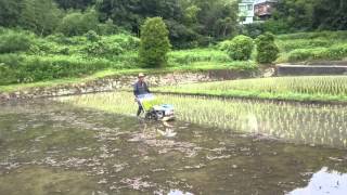 田植え作業ヰセキ歩行2条植え田植機