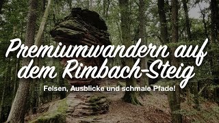 Premiumwandern auf dem Rimbach-Steig | Wandern in der Pfalz