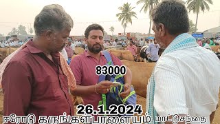 ஈரோடு கருங்கள்பாளையம் மாட்டுசந்தை 26.1.2024