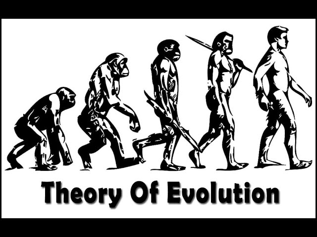 Wcln Welcome Math Intro Warrnambool College Wbool College