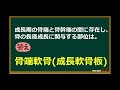 【聞き流し用】解剖学：運動系