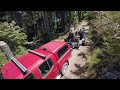 free tractor dozer abandoned in the woods for 20 years. will it start