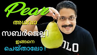 How to grow Pear Tree at Home | Malayalam | പീയർ എങ്ങനെ മുളപ്പിക്കാം