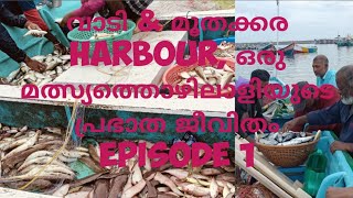 വാടി \u0026 മൂതക്കര  Harbour, ഒരു മത്സ്യത്തൊഴിലാളിയുടെ പ്രഭാത ജീവിതം Episode 1