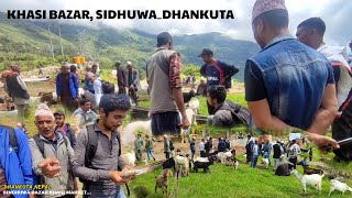 Khasi bazar Hamro sidhuwa bazar Ko,Goat buying and selling in the mountains of Nepal,Dhankuta_Nepal