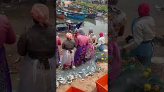 Fishing Boat | Costal Karnataka | Mangalore