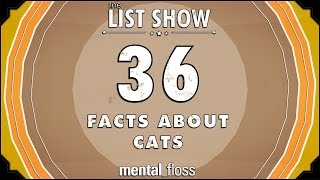 36 Facts About Cats - mental_floss List Show (Ep.221) | Mental Floss