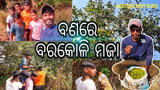 ଗାଁ ପାଖ ବଣରୁ ବରକୋଳି ତୋଳା || Village Diary || @SatyajitRoutVlogs