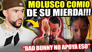 ¡MOLUSCO SE JODIOOO POR LAMBON DE BAD BUNNY! 🙏 Se Le Olvidó que EXISTE ROCHY RD 🕊️ QUE BABOSO!!!