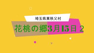 大内沢の花桃の郷