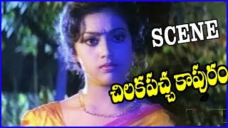 Chilakapacha Kapuram - Latest Telugu Movie Scene - Jagapathibabu,Sowndarya,Meena