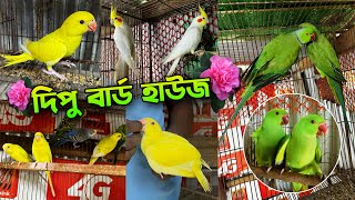 দিপু ভাইয়ের নতুন অফার | ককাটেল, বাজরিগার ও টিয়া পাখিতে অফার | দিপু বার্ড হাউজ