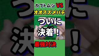 【昆虫界最強はどっち？】オオスズメバチVSカブトムシ！ついに決着！！！