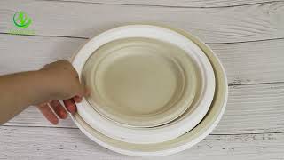 Sumkoka Round Bagasse Plates - Eco-Friendly and Biodegradable Tableware for Wholesalers