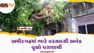 Banaskantha : અમીરગઢમાં ભારે વરસાદથી અનેક વૃક્ષો ધરાશાયી | Gstv Gujarati News