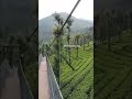 അറിയാമോ ഈ beautiful place 💚💚 nature malaylamsong youtubeshorts shortfeed shilpasachus