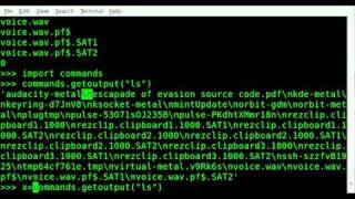 Get System Command Output - Python - Linux