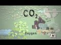 Climate Science in a Nutshell #4: Too Much Carbon Dioxide Climate Science in a Nutshell #4: Too Much Carbon Dioxide