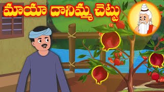 మాయా దానిమ్మ చెట్టు | Magical Pomegranate Tree | |Telugu stories #telugushorts #latesttelugustories