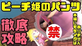 マリオテニス エース ピーチ姫のパンチラが最強にヤバすぎたwww マリオテニス エース ピーチ姫のパンチラが最強にヤバすぎたwww