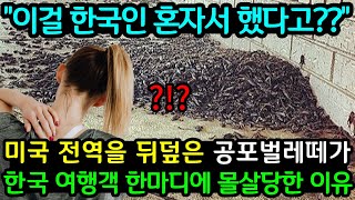 "이걸 한국인 혼자서 했다고??" 미국 전역을 뒤덮은 공포벌레가 한국인 등장에 몰살당하고 있는 이유 (해외반응)