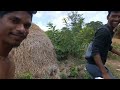 மலை வாழ் மக்களின் வாழ்க்கை முறை vlog 02 revisit... vlog travel