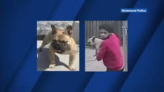 Richmond police need your help finding dog thief