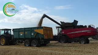 Massey Ferguson Delta 9380 || JD 8220 / Challenger MT665B || Žatva Jačmeň || Granelam Ostrov 2022