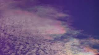 Beautiful Iridescent Clouds | Looking Up