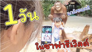 1 วัน ในซาฟารีเวิลด์! โดนลิงแกล้ง!!! | แม่ปูเป้ เฌอแตม Tam Story