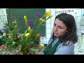 zoom sur les sélections des meilleurs apprentis de france en art floral à cannes