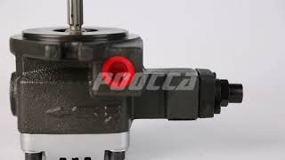VDP Variable Vane Pump