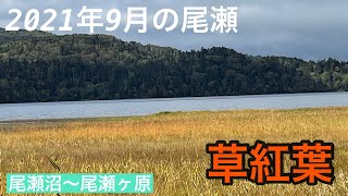 秋の尾瀬2021年9月尾瀬沼〜尾瀬ヶ原