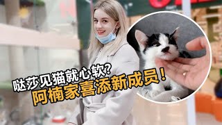 小哒莎见猫就心软？阿楠家喜提新成员！