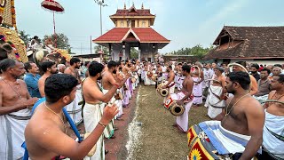 വെങ്ങാനെല്ലൂർ അഷ്ടമി 2024 - പഞ്ചവാദ്യം - പതികാലം തിമില താളവട്ടം - ഒറ്റപ്പാലം ഹരി