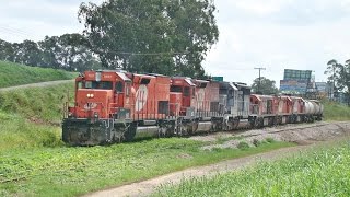 Trem especial Rumo - ALL de Locomotivas acidentadas e sucateadas em Araucária - PR