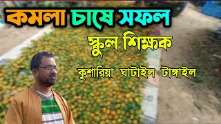 কমলা চাষে সফল স্কুল শিক্ষক || কুশারিয়া ঘাটাইল টাঙ্গাইল || প্রিয় টাঙ্গাইল