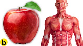 Eating An Apple Every Day Does This To Your Body