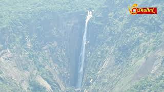 கொடைக்கானல்  எலி வால் அருவியில் ஆர்பரித்துகொட்டும் தண்ணீர்|#Falls#Kodaikanal#NewsLive