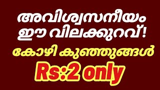 വെറും 2 രൂപക്ക് കോഴി കുഞ്ഞുങ്ങൾ വിൽക്കുന്ന കേരളത്തിലെ ഹാച്ചറി /chicks for just Rs.2/