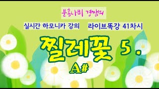 # 찔레꽃(A#) 5.  주법(베이스주법,3도주법,개방주법)넣어 연주하기    #분홍나비경쌤의 똑강41차시  #실시간하모니카강의 무편집