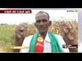 அறுவடைக்கு ஆட்கள் கிடைக்காமல் திணறும் விவசாயிகள் farmers