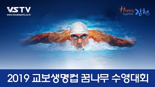 20190630 236 남자초등부 접영 50m 결승