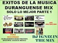 dj igniz grandes exitos de la musica duranguense mix año 2004 2005 2006 link de descarga