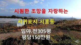 [제주빠빠] 시원한 바다조망을 자랑하는 ｜서귀포시 서홍동 ｜토지305평 평당150만원｜ ☎010 3318 5088