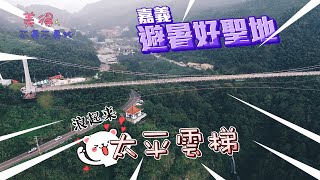 炎炎夏日就是要到山上避暑.嘉義太平雲梯.阿里山秘境車站二萬坪 涼快去!! #i揪團遊台灣